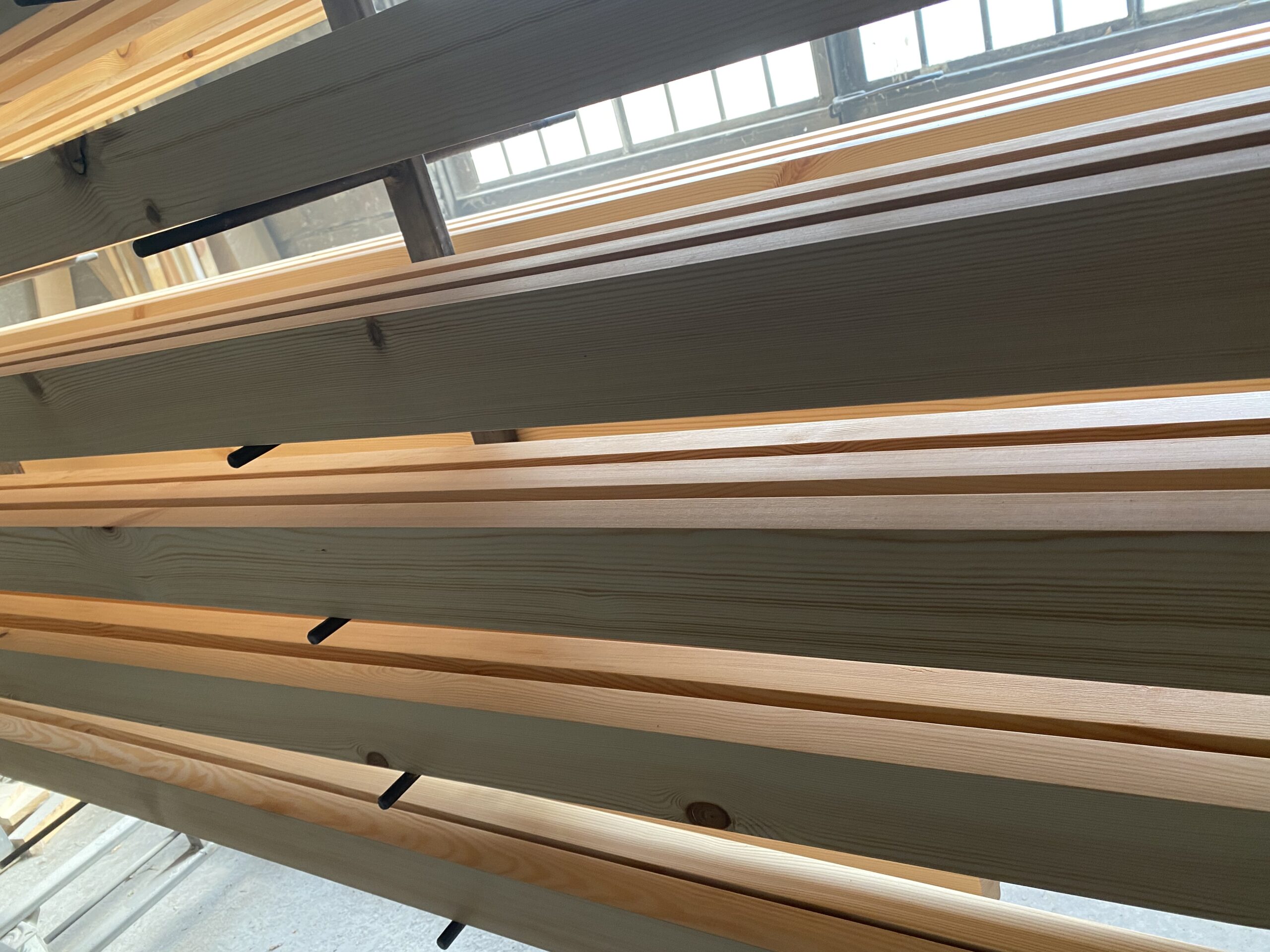 naroznik sosnowy scaled