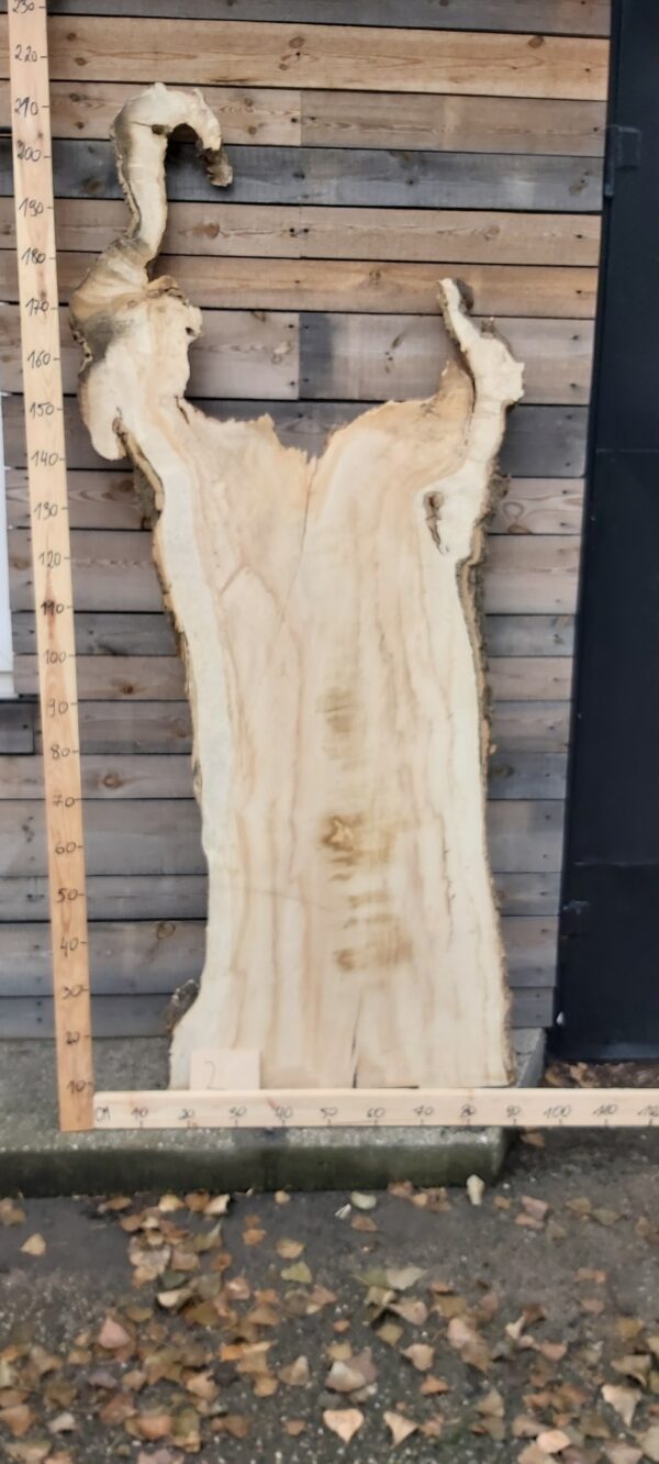 Foszt jawor czeczot nr 2 Foszt jaworowy czeczot nr 2 z naturalnym układem słojów