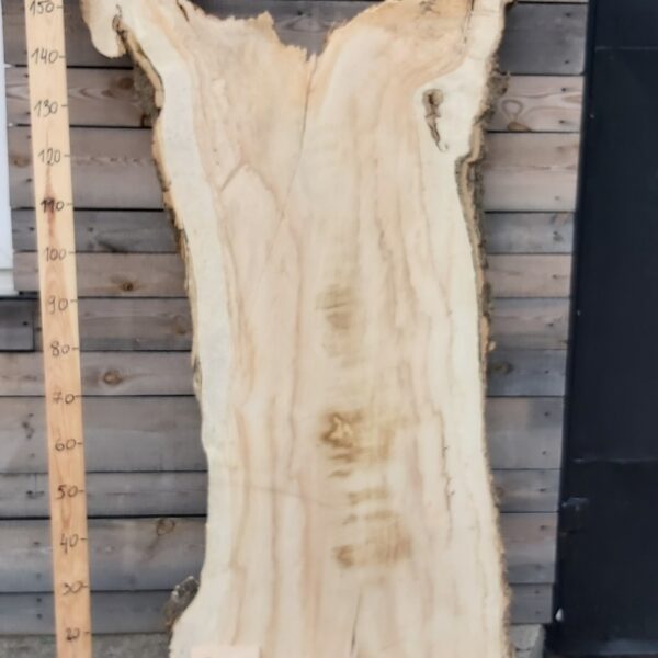 Foszt jawor czeczot nr 2 Foszt jaworowy czeczot nr 2 z naturalnym układem słojów