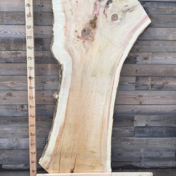 Jawor czeczot monolit nr 10 Foszt jawor czeczot nr 10 do blatów drewnianych