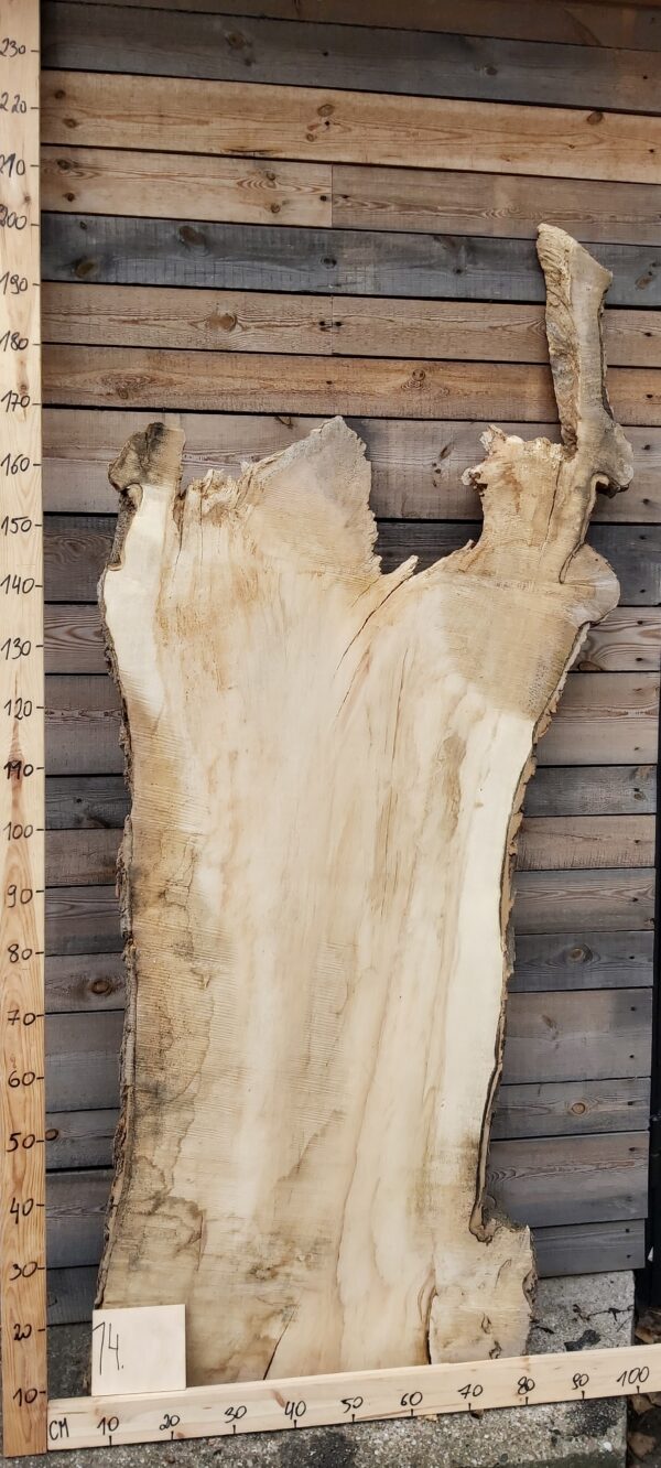 Jawor czeczot monolit nr 14 Monolit z jaworu czeczot nr 14 o dekoracyjnym usłojeniu