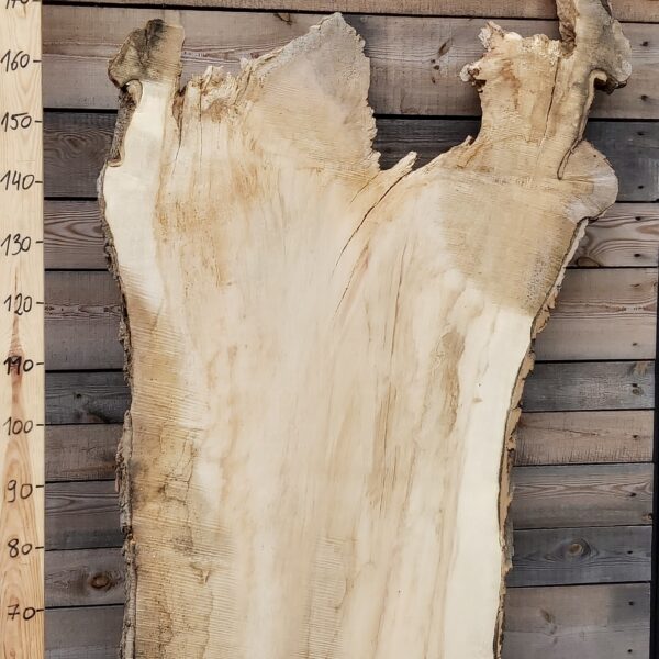 Monolit z jaworu czeczot nr 14 o dekoracyjnym usłojeniu