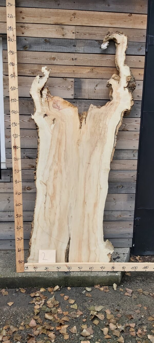 Jawor czeczot monolit nr 2 Monolit jawor czeczot nr 2 z dekoracyjnym rysunkiem drewna