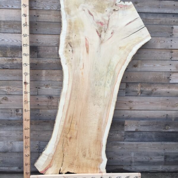 Jawor czeczot monolit nr 9 Monolit jawor czeczot nr 9 z wyrazistą strukturą