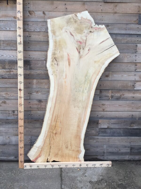 Jawor czeczot monolit nr 9 Monolit jawor czeczot nr 9 z wyrazistą strukturą